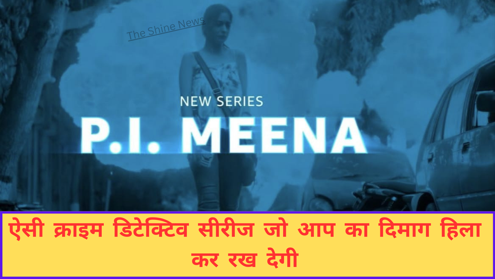 PI Meena Web Series