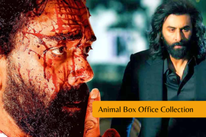 Animal Box Office Collection