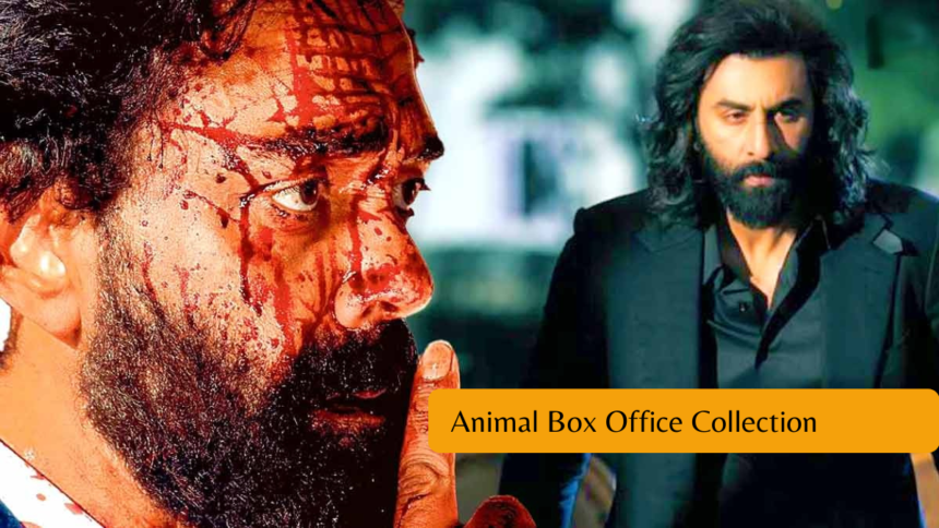 Animal Box Office Collection