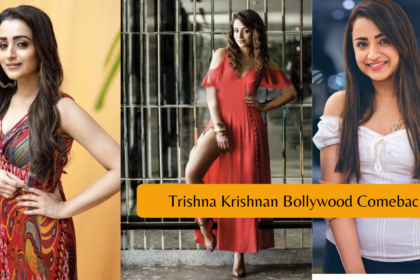 Trishna Krishnan Bollywood Comeback