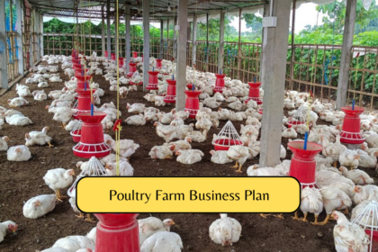 Poultry Farm Business